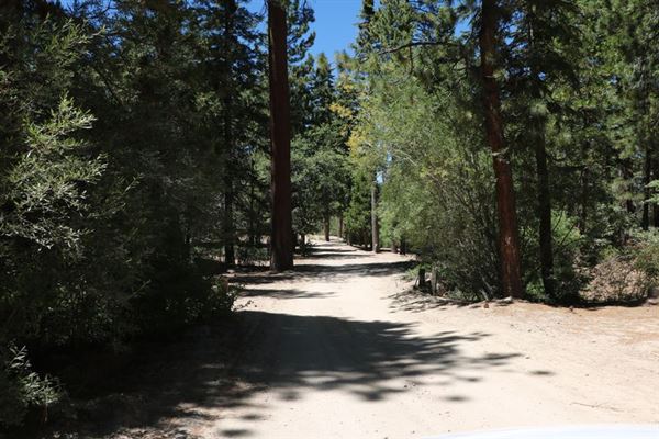 Camp Cedar Lake (1/18/2024 - Credits: Photo Courtesy of Big Bear Locations)