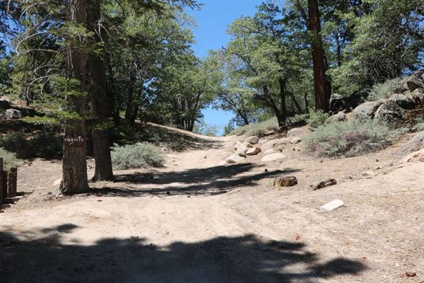 Camp Cedar Lake (1/18/2024 - Credits: Photo Courtesy of Big Bear Locations)