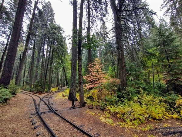 Yosemite Mountain Sugar Pine Railroad (1/25/2024 - Credits: Photo Courtesy of Yosemite Mountain Sugar Pine Railroad)