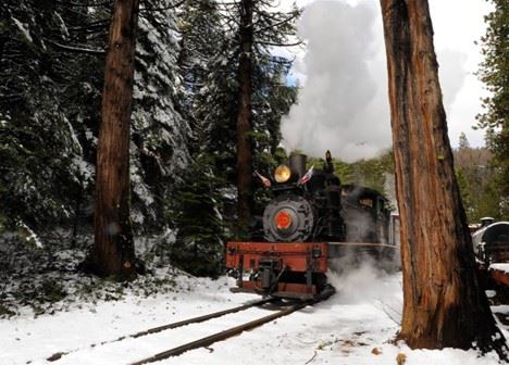 Yosemite Mountain Sugar Pine Railroad (1/25/2024 - Credits: Photo Courtesy of Yosemite Mountain Sugar Pine Railroad)