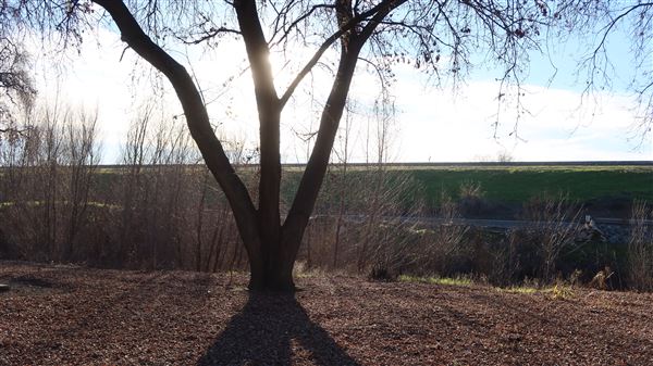 Feather River Parkway (1/13/2024 - Credits: Film Yuba Sutter)