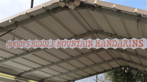 Moody's Middle Mountain Mandarins (1/13/2024 - Credits: Film Yuba Sutter)