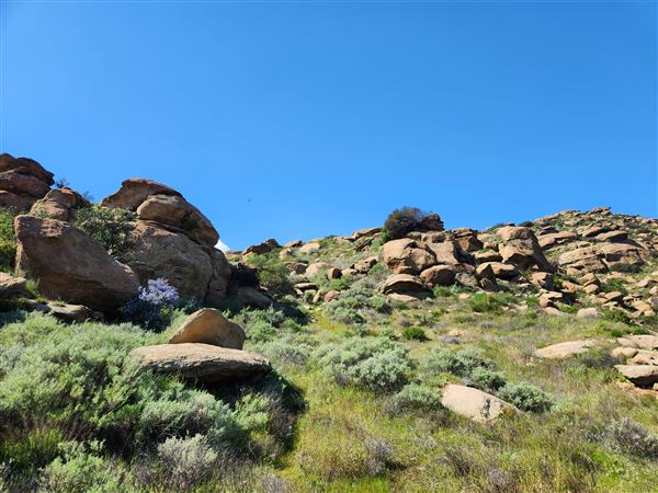 Rocky Peak Park (3/19/2024 - Credits: Rene Garcia)