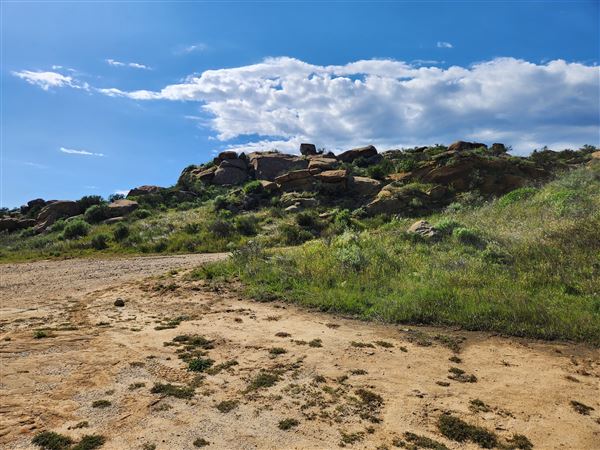 Rocky Peak Park (3/19/2024 - Credits: Rene Garcia)