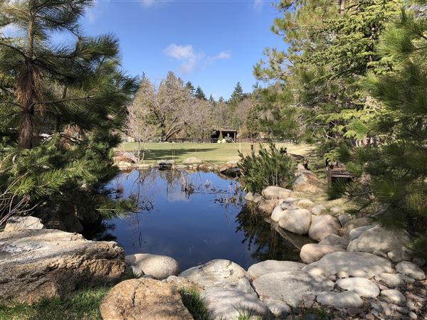 Spectacular Equestrian Ranch Style Estate (2/14/2024 - Credits: David Schneider)