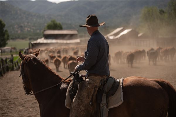 Rankin Ranch - California Cattle & Guest Ranch (5/15/2023 - Credits: Amanda Rankin)