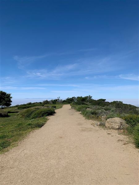 Seaview Park (4/17/2024 - Credits: Photo Courtesy of the City of Laguna Niguel)