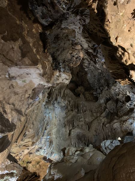 20359 Shasta Caverns Road (5/5/2024 - Credits: Brandy Davis)