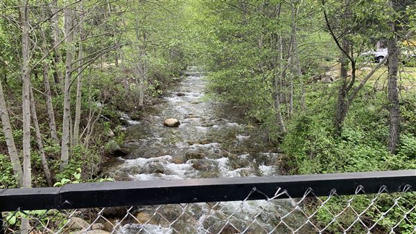 Railroad Park Resort and Dining Car Restaurant (5/5/2024 - Credits: Brandy Davis)