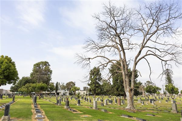 Sunnyside Cemetery (6/17/2024 - Credits: City of Long Beach, Office of the City Manager)