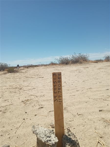 Desert Bliss (6/17/2023 - Credits: Ora Beth Nance)