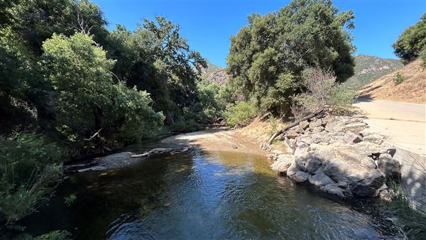 Malibu Creek State Park (SP) - Trail Head and Creek (6/26/2024 - Credits: Brandy Davis)