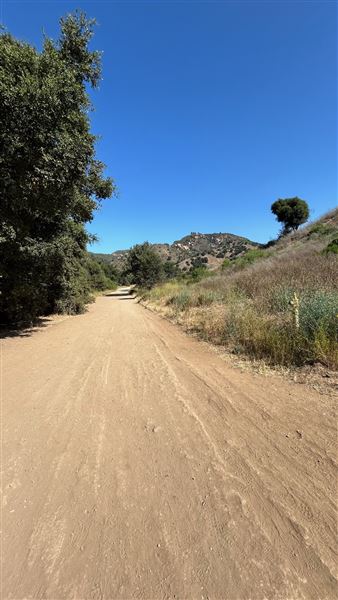 Malibu Creek State Park (SP) - Crags Road (6/26/2024 - Credits: Brandy Davis)