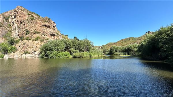 Malibu Creek State Park (SP) - Century Lake (6/26/2024 - Credits: Brandy Davis)