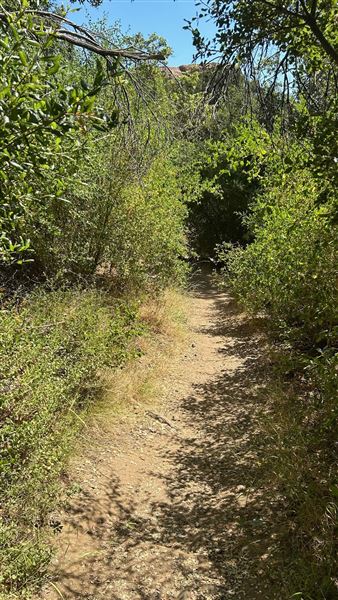Malibu Creek State Park (SP) - Rock Pool and trail (6/26/2024 - Credits: Brandy Davis)