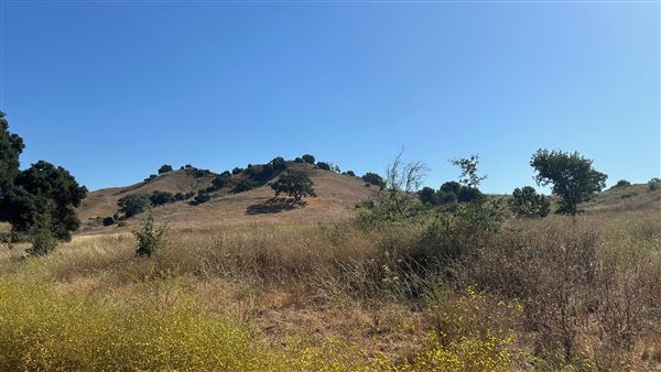 Malibu Creek State Park (SP) - Scenic Views from trail (6/26/2024 - Credits: Brandy Davis)