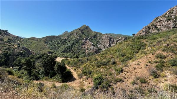 Malibu Creek State Park (SP) - Scenic Views from trail (6/26/2024 - Credits: Brandy Davis)