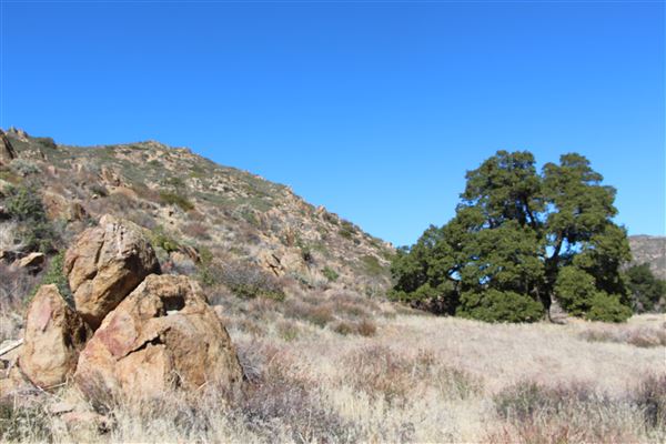 Cleveland National Forest (7/2/2024 - Credits: Public Affairs Officer Forest Service)