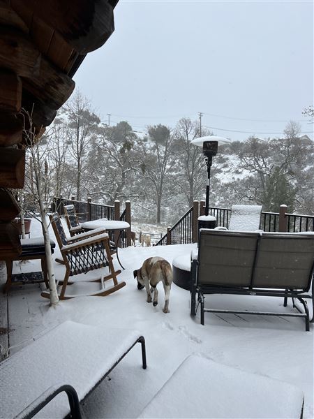 Tehachapi Log Cabin (5/4/2024 - Credits: Barb Pfeiffer)