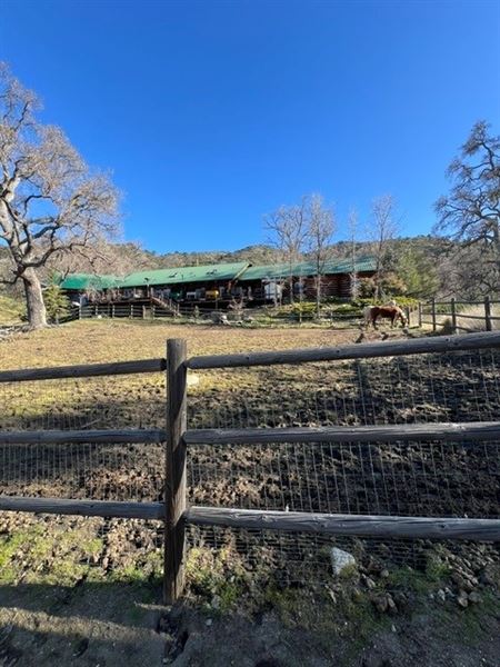 Tehachapi Log Cabin (7/8/2024 - Credits: Barb Pfeiffer)