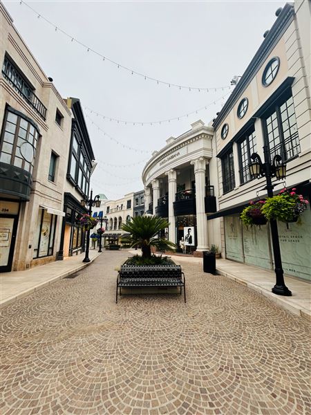 Rodeo Drive - Beverly Hills (7/12/2024 - Credits: Brandy Davis)