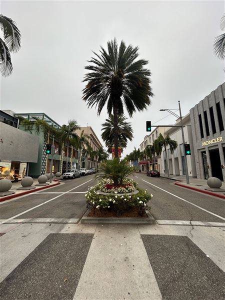 Rodeo Drive - Beverly Hills (7/12/2024 - Credits: Brandy Davis)