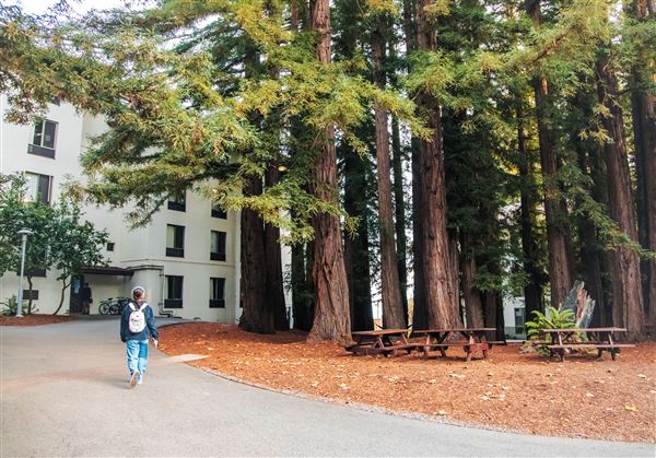 University of California, Santa Cruz - UCSC (12/14/2023 - Credits: UC Regents, UC Santa Cruz)