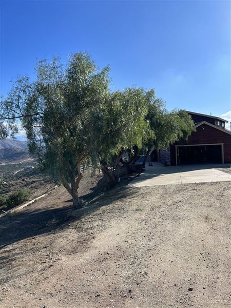 Murillo Cabin (6/1/2024 - Credits: submitted by: Leonardo Murillo)