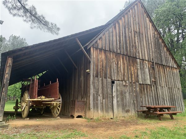 Shasta State Historic Park (SHP) (5/4/2024 - Credits: Brandy Davis)