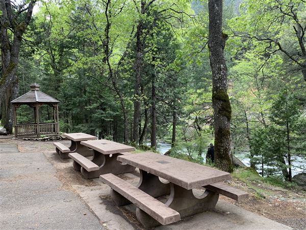 Dunsmuir City Park Sacramento River (5/4/2024 - Credits: Brandy Davis)