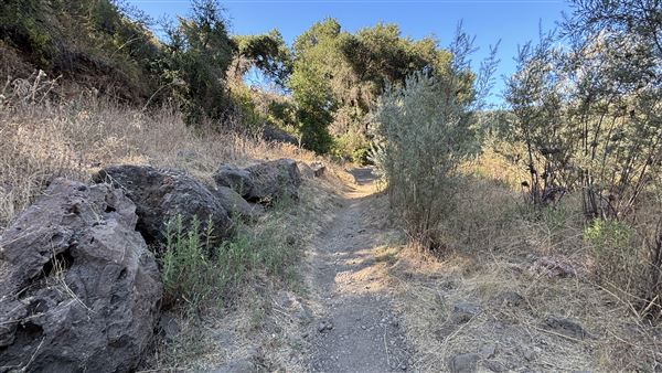 Malibu Creek State Park (SP) - M*A*S*H* Site Location (7/31/2024 - Credits: Brandy Davis)