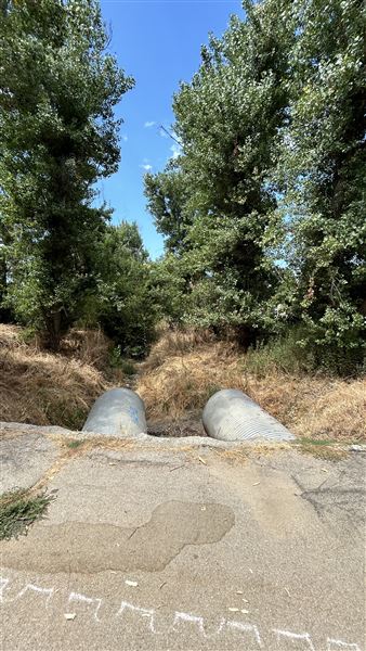 Sepulveda Basin Wildlife Preserve / Woodley Park - crossing between preserve and cricket area (8/2/2024 - Credits: Brandy Davis)