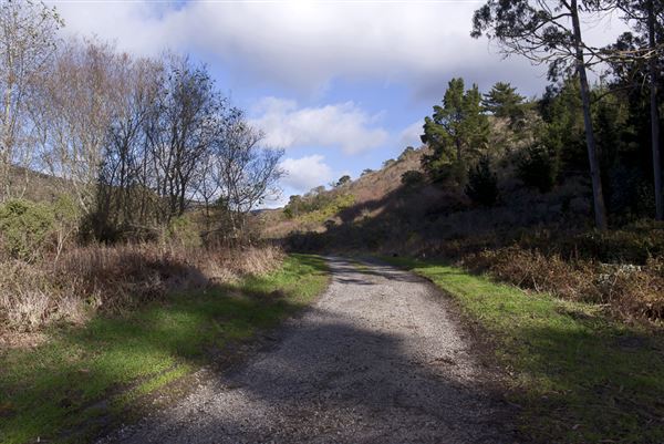 Burleigh H. Murray Ranch Park Property (8/5/2024 - Credits: Photo Courtesy of California State Parks 2024)