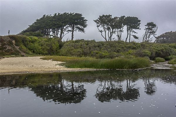 Half Moon Bay State Beach (SB) (8/5/2024 - Credits: Photo Courtesy of California State Parks 2024)