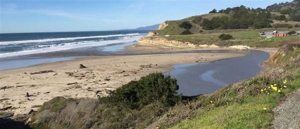 San Gregorio State Beach (SB) (8/5/2024 - Credits: Coastside State Parks Association)
