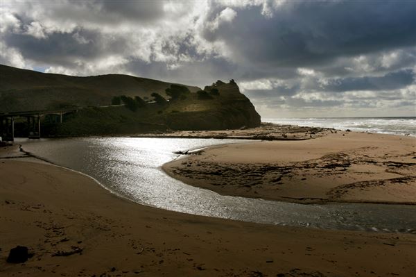 San Gregorio State Beach (SB) (8/5/2024 - Credits: Courtesy of California State Parks 2024)