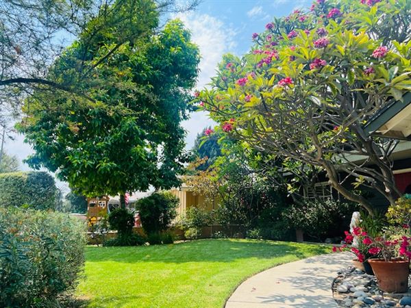 The Pink Lotus (Home w/ Modern Interior & Tropical Oasis Exterior) (7/1/2024 - Credits: Jennifer Chadbourne and Tray Photography)