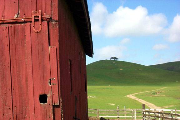 Horick Ranch (12/31/2003)