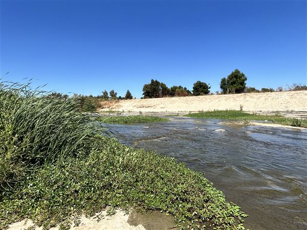 Sepulveda Dam (8/20/2024 - Credits: Brandy Davis)