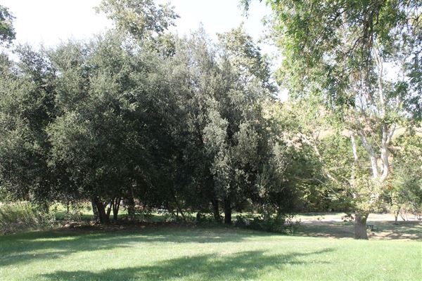 Ed Davis Park in Towsley Canyon - Santa Monica Mountains Conservancy - SMMC (8/20/2024 - Credits: Santa Monica Mountains Conservancy)