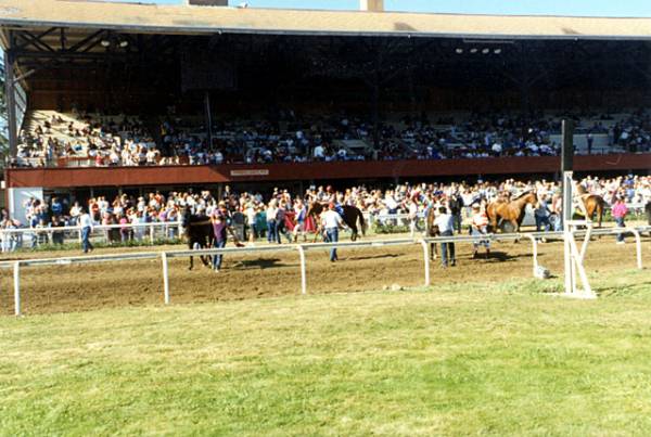 Humboldt County Fair & Event Center (12/31/2003)