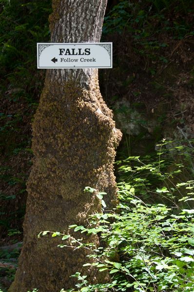 Vichy Springs Resort and Inn - Trail to waterfall (5/8/2024 - Credits: Gilbert Ashoff)