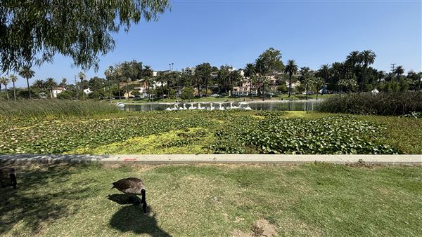 Echo Park Lake Recreation Center (9/17/2024 - Credits: Brandy Davis)