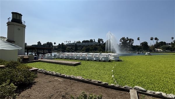 Echo Park Lake Recreation Center (9/17/2024 - Credits: Brandy Davis)