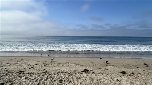 Santa Monica State Beach (SB) / Pacific Park Santa Monica Pier (10/2/2024 - Credits: Brandy Davis)