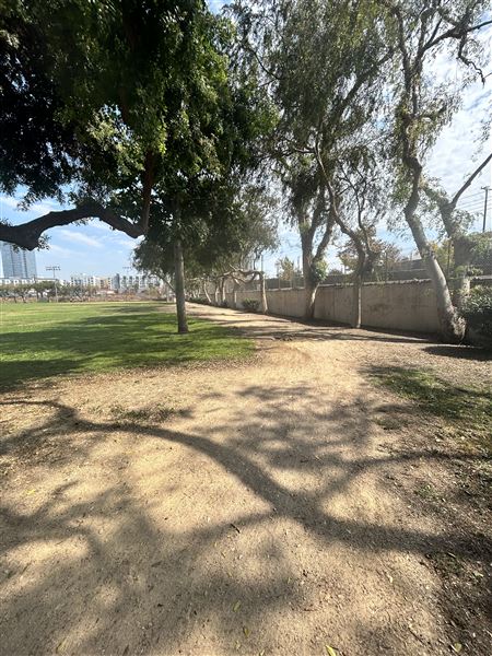 Syd Kronenthal Park (10/4/2024 - Credits: Brandy Davis)