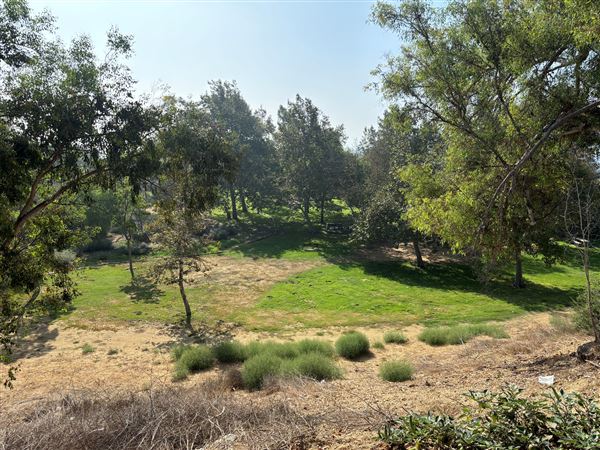 Elysian Park - Angels Point (6/22/2024 - Credits: Brandy Davis)