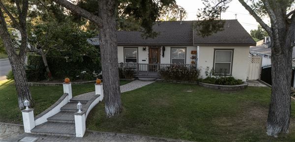 Lomita Pines (11/3/2024 - Credits: Tony Donaldson and Wendy Farajpour)