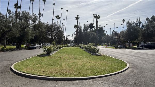 Hollywood Forever Cemetery (11/7/2024 - Credits: Brandy Davis)