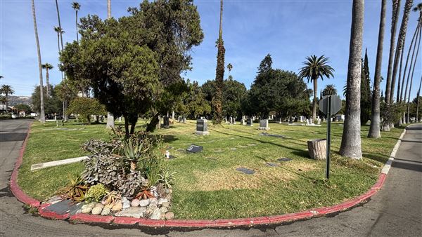 Hollywood Forever Cemetery (11/7/2024 - Credits: Brandy Davis)